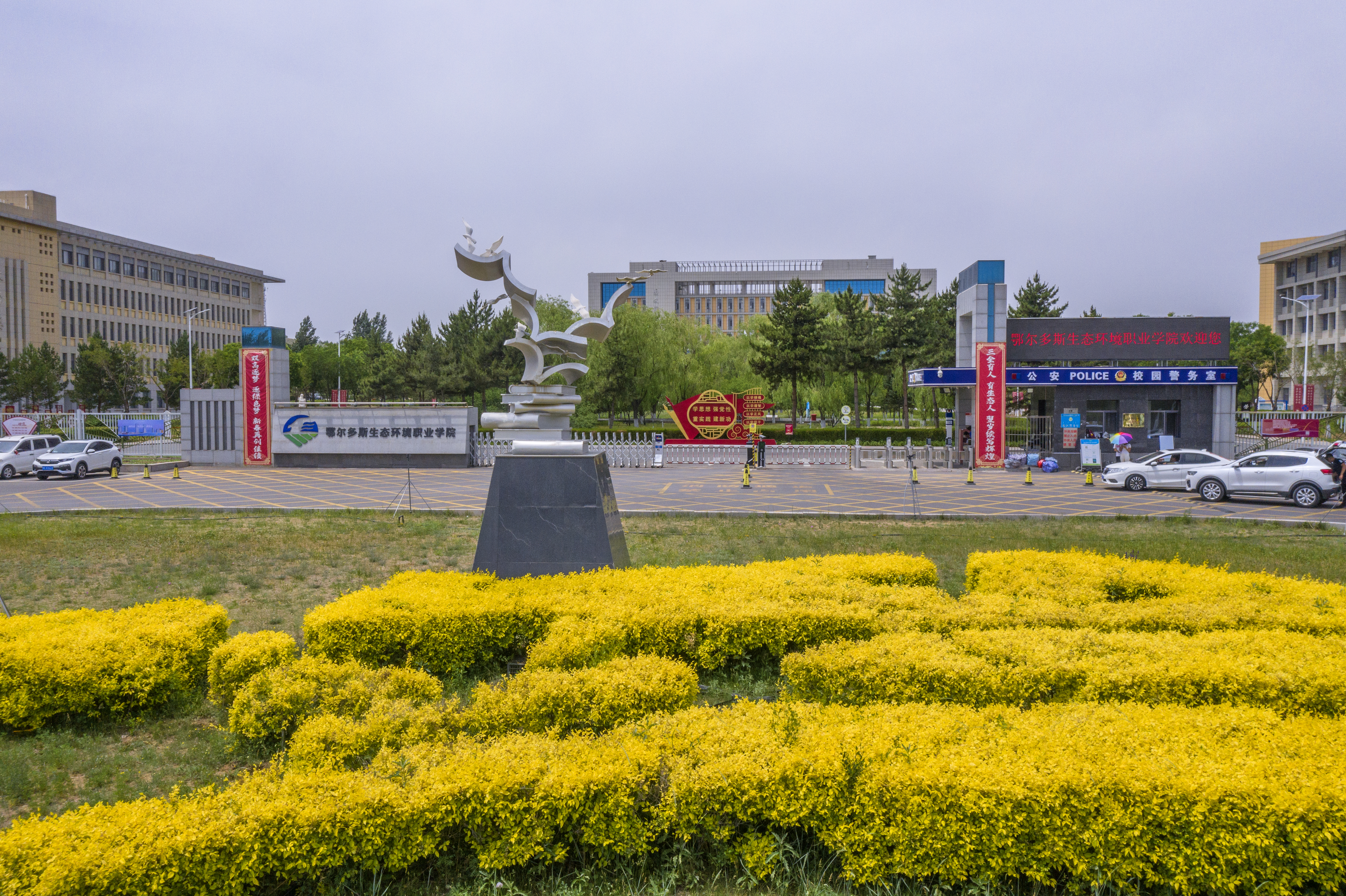 DJI_0145.jpg