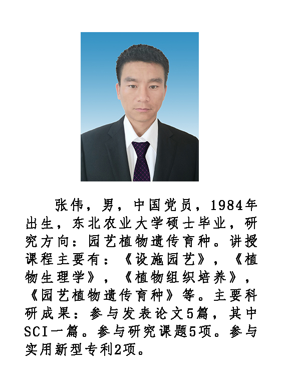 张伟.jpg