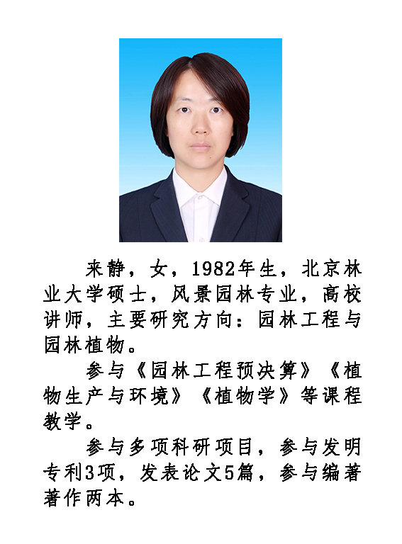 来静.jpg